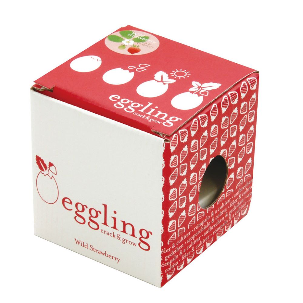 eggling anzuchtcontainer in eiform samen "wilde erdbeere"